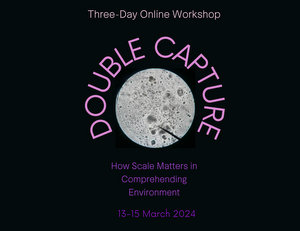 Double Capture: How Scale Matters in Comprehending Environment